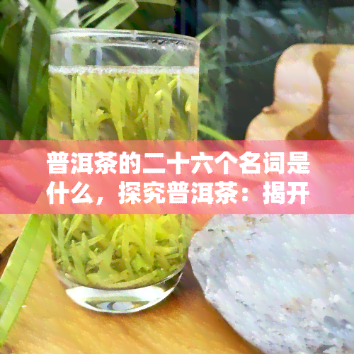 普洱茶的二十六个名词是什么，探究普洱茶：揭开其二十六个神秘名词的面纱