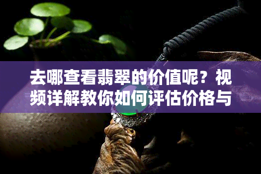 去哪查看翡翠的价值呢？视频详解教你如何评估价格与价值