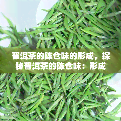 普洱茶的陈仓味的形成，探秘普洱茶的陈仓味：形成过程与特点解析