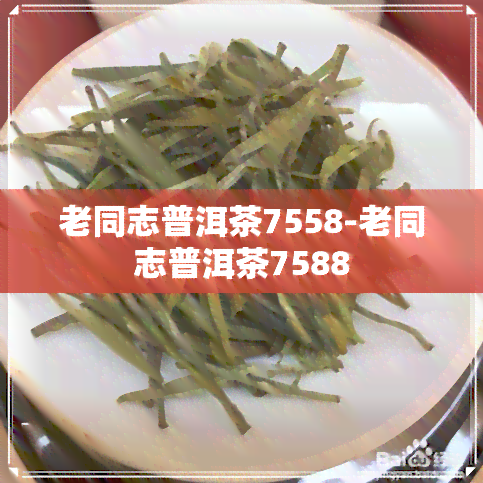 老同志普洱茶7558-老同志普洱茶7588