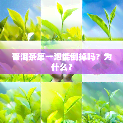 普洱茶之一泡能倒掉吗？为什么？