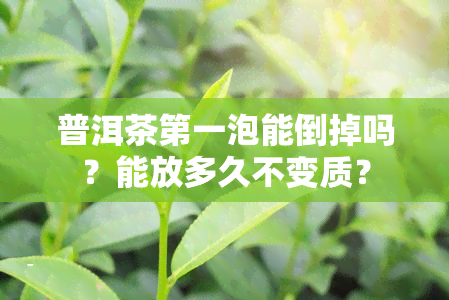 普洱茶之一泡能倒掉吗？能放多久不变质？