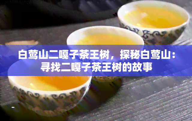 白莺山二嘎子茶王树，探秘白莺山：寻找二嘎子茶王树的故事