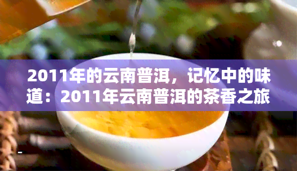 2011年的云南普洱，记忆中的味道：2011年云南普洱的茶香之旅