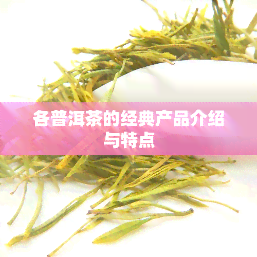 各普洱茶的经典产品介绍与特点