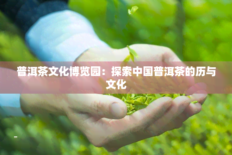 普洱茶文化博览园：探索中国普洱茶的历与文化