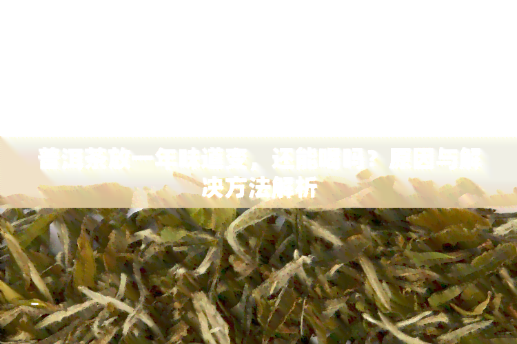 普洱茶放一年味道变，还能喝吗？原因与解决方法解析