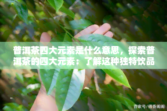 普洱茶四大元素是什么意思，探索普洱茶的四大元素：了解这种独特饮品的关键所在