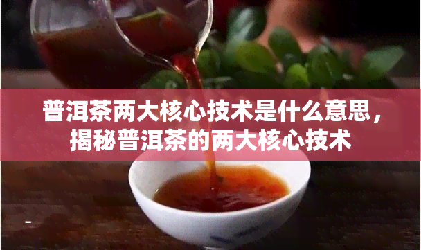 普洱茶两大核心技术是什么意思，揭秘普洱茶的两大核心技术