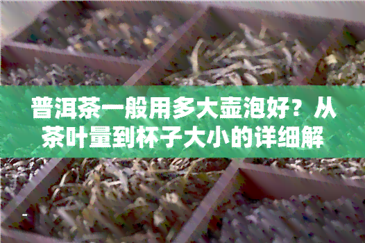 普洱茶一般用多大壶泡好？从茶叶量到杯子大小的详细解析