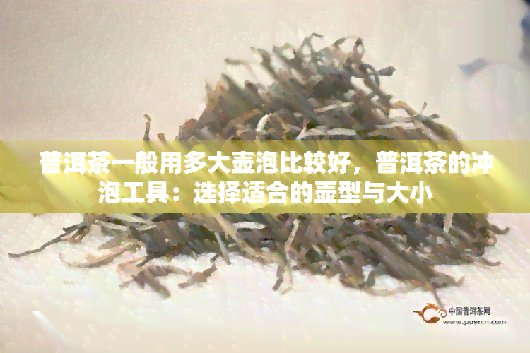 普洱茶一般用多大壶泡比较好，普洱茶的冲泡工具：选择适合的壶型与大小