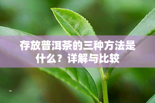 存放普洱茶的三种方法是什么？详解与比较