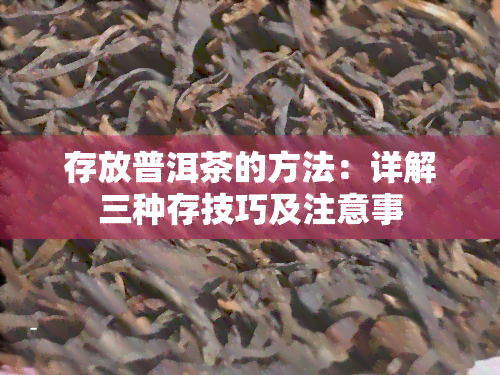 存放普洱茶的方法：详解三种存技巧及注意事