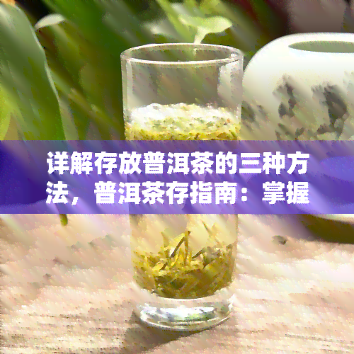 详解存放普洱茶的三种方法，普洱茶存指南：掌握这三种方法，让你的茶叶更美味！