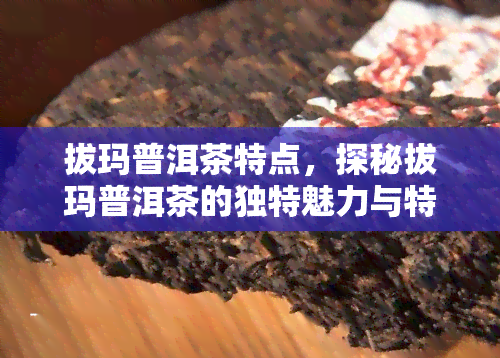 拔玛普洱茶特点，探秘拔玛普洱茶的独特魅力与特点