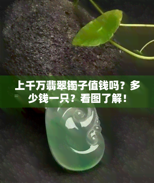 上千万翡翠镯子值钱吗？多少钱一只？看图了解！