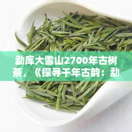 勐库大雪山2700年古树茶，《探寻千年古韵：勐库大雪山2700年古树茶的魅力》