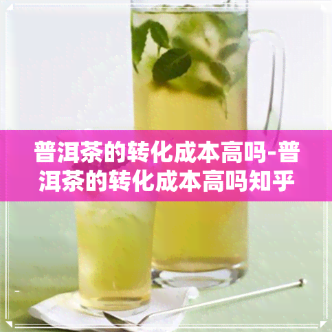 普洱茶的转化成本高吗-普洱茶的转化成本高吗知乎