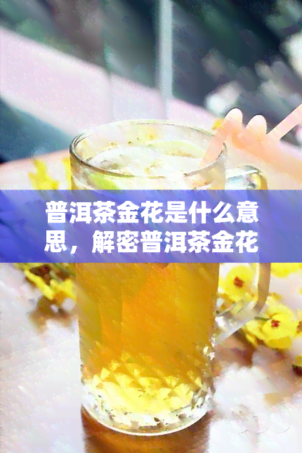 普洱茶金花是什么意思，解密普洱茶金花：它是什么，有何作用？