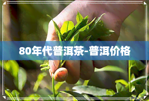 80年代普洱茶-普洱价格