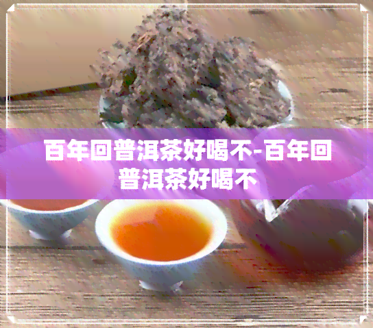 百年回普洱茶好喝不-百年回普洱茶好喝不