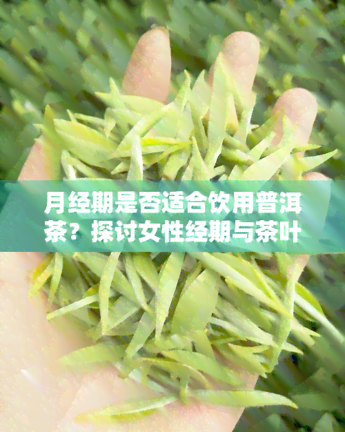 月经期是否适合饮用普洱茶？探讨女性经期与茶叶的关系