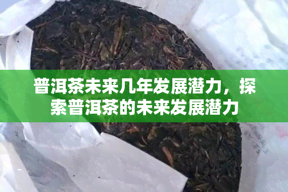 普洱茶未来几年发展潜力，探索普洱茶的未来发展潜力