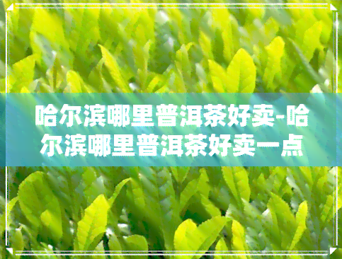 哈尔滨哪里普洱茶好卖-哈尔滨哪里普洱茶好卖一点