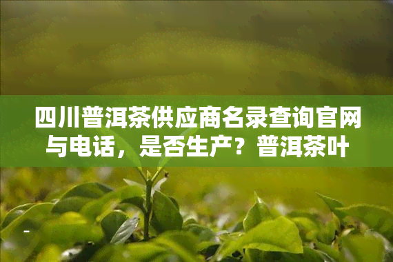 四川普洱茶供应商名录查询官网与电话，是否生产？普洱茶叶供应商来自哪里？