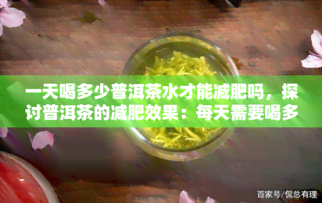 一天喝多少普洱茶水才能减肥吗，探讨普洱茶的减肥效果：每天需要喝多少杯普洱茶水？