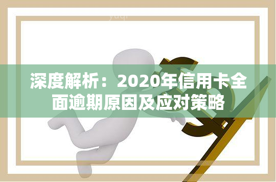 深度解析：2020年信用卡全面逾期原因及应对策略