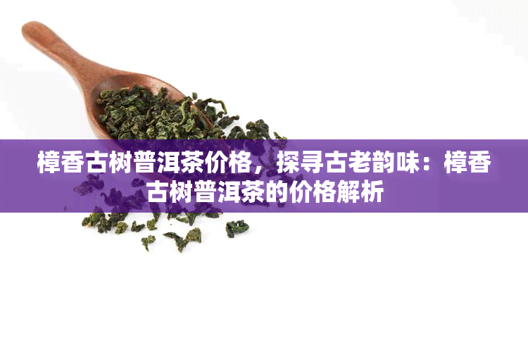 樟香古树普洱茶价格，探寻古老韵味：樟香古树普洱茶的价格解析