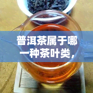 普洱茶属于哪一种茶叶类，探究普洱茶的分类归属：它属于哪种类型的茶叶？