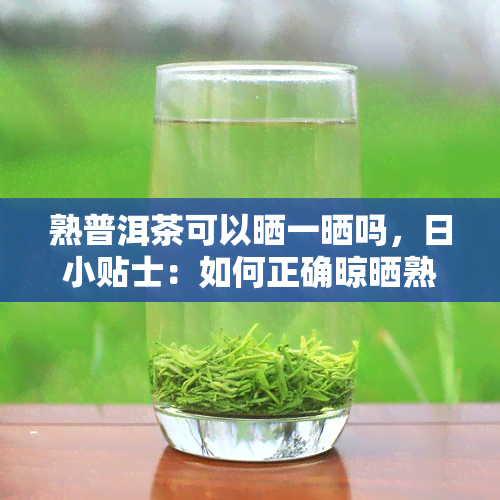 熟普洱茶可以晒一晒吗，日小贴士：如何正确晾晒熟普洱茶？