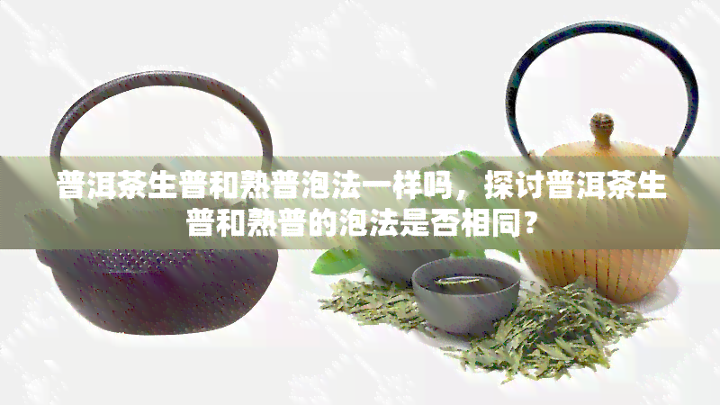 普洱茶生普和熟普泡法一样吗，探讨普洱茶生普和熟普的泡法是否相同？