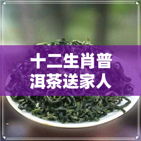 十二生肖普洱茶送家人-12生肖普洱茶