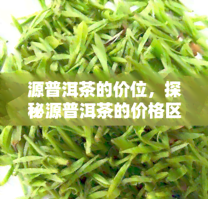 源普洱茶的价位，探秘源普洱茶的价格区间，从入门级到高端品鉴不落空