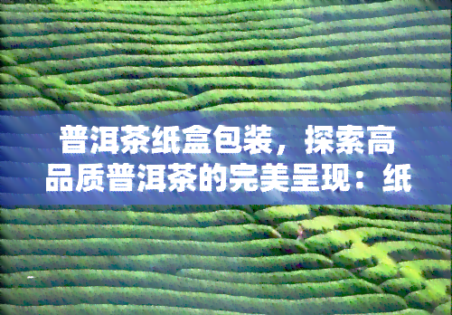 普洱茶纸盒包装，探索高品质普洱茶的完美呈现：纸盒包装的魅力