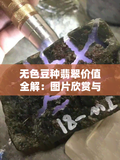 无色豆种翡翠价值全解：图片欣赏与价格分析