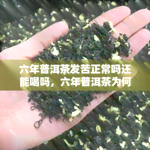 六年普洱茶发苦正常吗还能喝吗，六年普洱茶为何发苦？还能不能饮用？