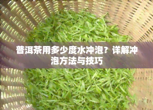 普洱茶用多少度水冲泡？详解冲泡方法与技巧