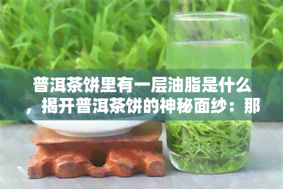 普洱茶饼里有一层油脂是什么，揭开普洱茶饼的神秘面纱：那层油脂究竟是什么？