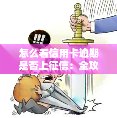 怎么看信用卡逾期是否上：全攻略