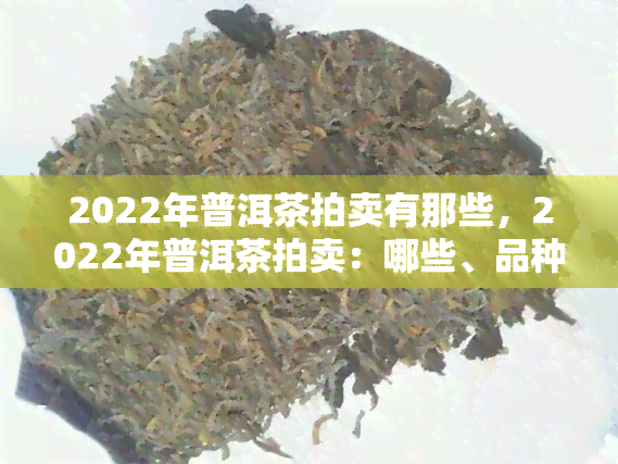 2022年普洱茶拍卖有那些，2022年普洱茶拍卖：哪些、品种备受瞩目？