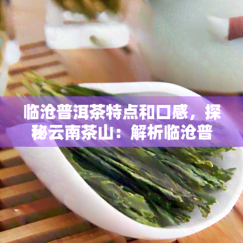 临沧普洱茶特点和口感，探秘云南茶山：解析临沧普洱茶的独特特点与口感