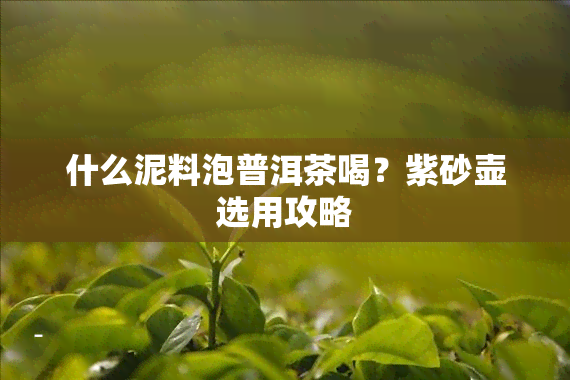 什么泥料泡普洱茶喝？紫砂壶选用攻略