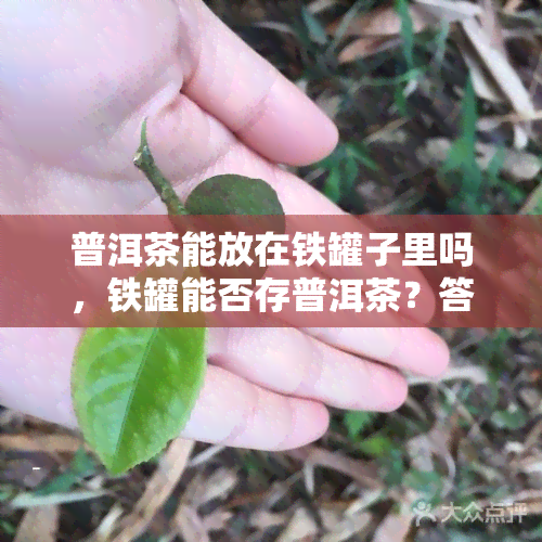 普洱茶能放在铁罐子里吗，铁罐能否存普洱茶？答案在这里！