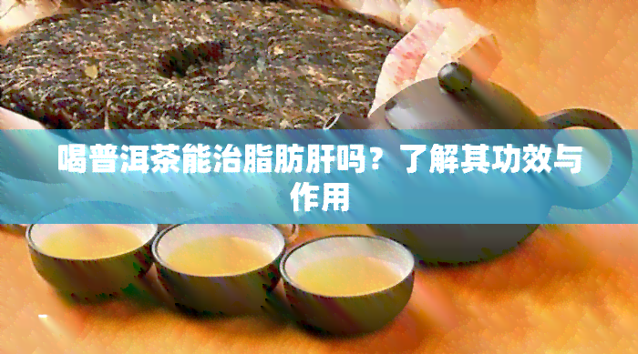 喝普洱茶能治脂肪肝吗？了解其功效与作用