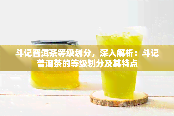 斗记普洱茶等级划分，深入解析：斗记普洱茶的等级划分及其特点