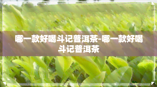 哪一款好喝斗记普洱茶-哪一款好喝斗记普洱茶